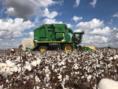 Raw Cotton Stuffing/Batting, All Natural