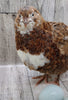 Celadon Color Variety hatching eggs