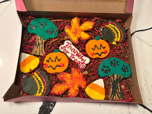 Thanksgiving Organic Dog Cookie Box