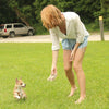 Eco-Owl Buddy: The Non Toxic Hemp Dog Toy