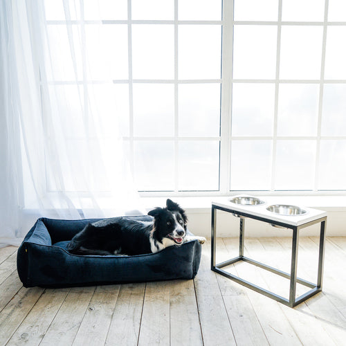 Corduroy Dog Bed Dreamer