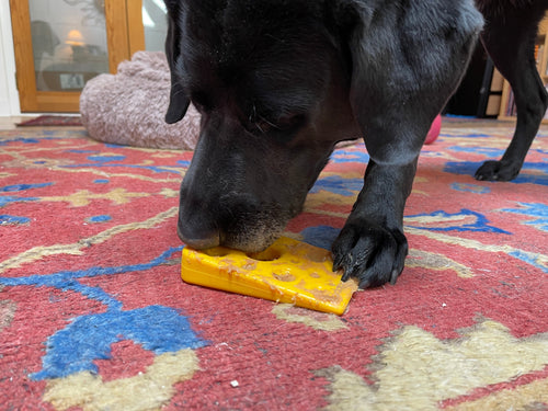 Swiss Cheese Wedge Nylon Dog Chew Toy for Aggressive Chewers | SodaPup