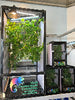 Size 24: 24x24x48 Deluxe All-In-One WIFI Controlled Automated Chameleon kit