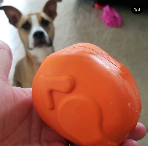 Roasted Turkey eDispenser Durable Rubber Chew Toy & Treat Dispenser - Large - 25% off!