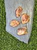 Freeze-Dried Quail Gizzards