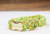 Daffodil Meadow Collar