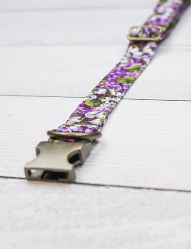 Violet Grove Collar