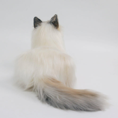 NO.9 Brown Hair Cat with Blue Eyes Order to Make