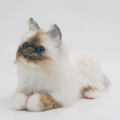 NO.9 Brown Hair Cat with Blue Eyes Order to Make