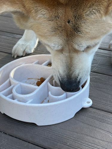 Java eBowl Deep Slow Feeder Dog Bowl for Enrichment | USA Made
