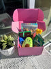 Pawliday Box