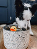 Terrazzo Modern Elevated Dog Bowl