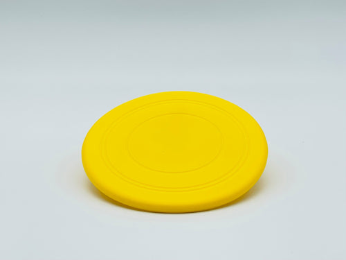 Fetch Me Frisbee