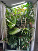 Size 24: 24x24x48 Deluxe All-In-One WIFI Controlled Automated Chameleon kit