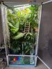 Size 16: 16x16x24 Deluxe All-In-One Automated Chameleon Kit