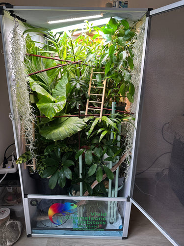 Size 24: 24x24x48 Deluxe All-In-One WIFI Controlled Automated Chameleon kit