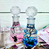 Romantic Marimo Moss Balls 2PCS Set Glass Bottle Aquarium With Lid Love Plants for Beginners for Couples