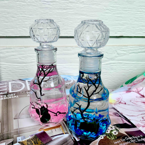 Romantic Marimo Moss Balls Glass Bottle Aquarium With Lid Love Plants for Beginners for Couples