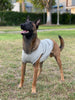 ACTIVE COOLING SHIRT