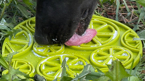 Citrus Design eMat - Enrichment Lick Mat For Dogs and Cats - with Suction Cups | USA Made
