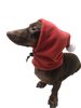 Rust Pup Topper