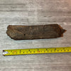 Triceratops rib 7 section #5-002