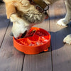 Great Outdoors eBowl - Slow Feeder Dog Bowl & Enrichment | USA Made