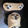 Cannoli Organic Dog Treats