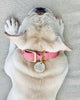 Cute but Psycho Tag