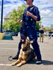 USA-K9 Grenade Shaped Durable Rubber Chew Toy, Treat Dispenser, Reward Toy, Tug Toy, and Retrieving Toy
