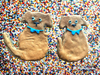Finn Organic Peanut Butter Dog Cookies