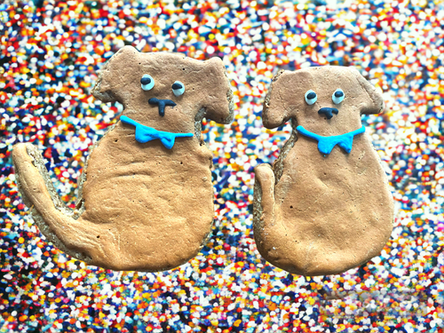 Finn Organic Peanut Butter Dog Cookies