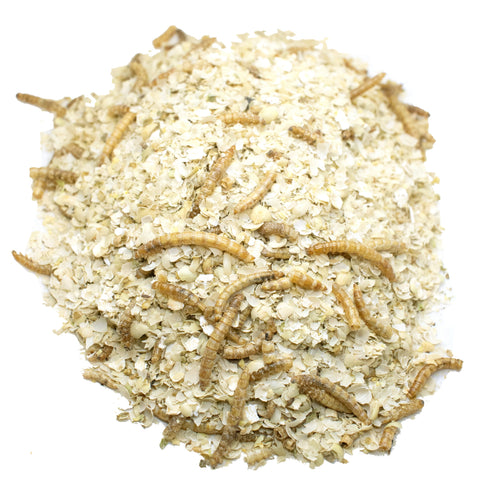 Luv U Much Mealworm & BloomGrubs Treat: Just Mix With Water For A Fun Treat!