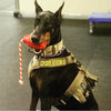 USA-K9 Magnum Grenade Shaped Durable Rubber Chew Toy, Treat Dispenser, Reward Toy, Tug Toy, and Retrieving Toy - Black Magnum