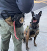 Mini Training Tug Toy