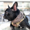 Cooling Shemagh Scarf