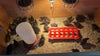 Black Quail Hatching Eggs - Pure Breed, Ideal for Aviary Hobbyists & Breeders