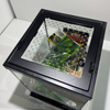 EncloSure™ Replacement Lid for Zoo Med Creatures® 8″ × 8″