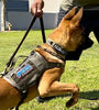 K9R - M4 Tactical MOLLE Vest