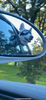 Doggles Dog Goggles Sunglasses