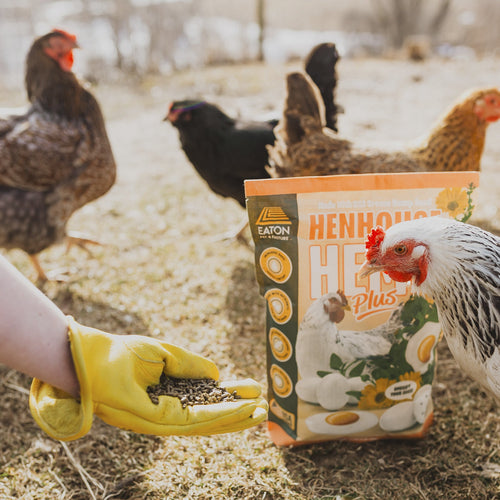 Henhouse Hemp Plus