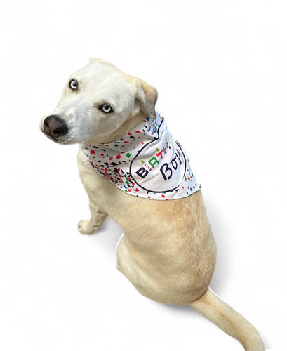 Birthday Bandanas - Stylish Dog Accessories - Glow Pups