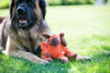 Morris Moose Knottie® Plush Dog Toy
