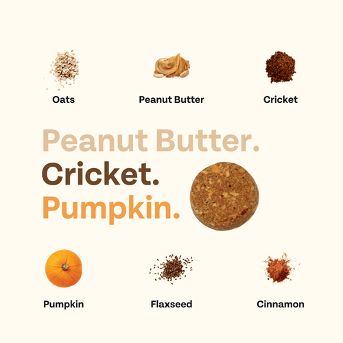 Superfood Cricket & Pumpkin Dog Treats, 4-Pack