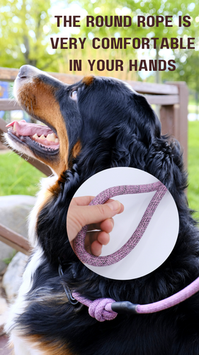 Adventure Style Mountain Blush Climbing Rope Dog Leash