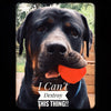 WUNDERBALL - Best Fetch Toy