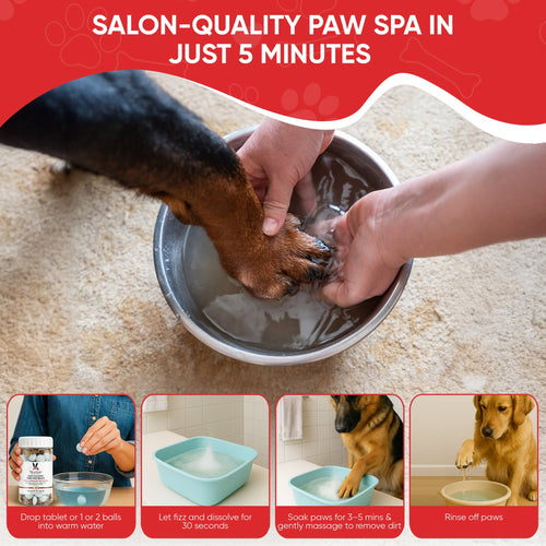 Deep Cleaning Paw Fizz Balls - Professional Size