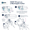 5/8″ and 1″ Black Nylon Dog Collars