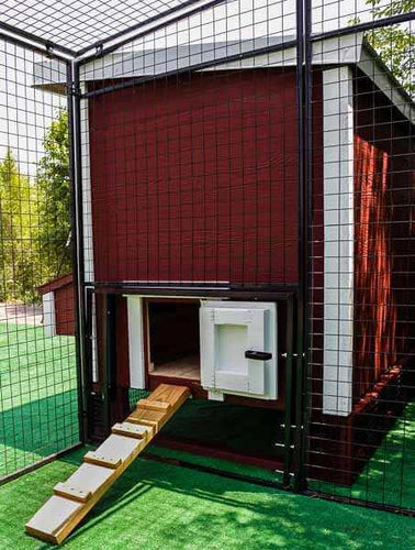 Walk-In 8 ft. Chicken Run (6'6W x 7'6L x 6'3H)
