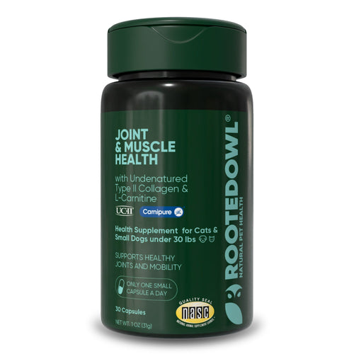 Joint & Muscle Health